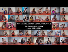 FvF Wrestling