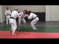 VeVe Lane Mixed Judo