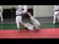 VeVe Lane Mixed Judo